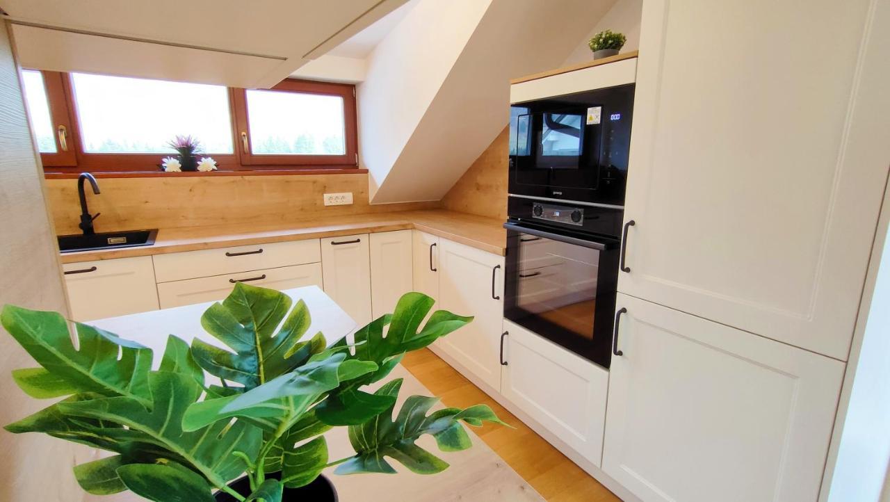Apartmaji Dora Mojstrana Bagian luar foto